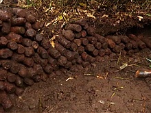 «Остров кишит складами»: экспедиция на Итурупе вступила в «подрывную» стадию