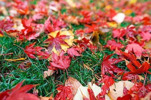 Помог антициклон: выходные в Краснодаре пройдут без дождей