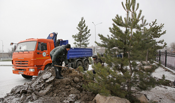 В Волгограде около областной больницы появится более 200 саженцев