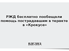 Реабилитационные центры РЖД бесплатно примут пострадавших в «Крокусе»