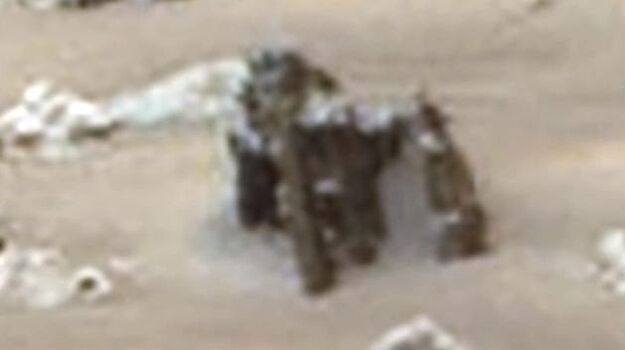 Уфологи: На Марсе обнаружен огромный краб