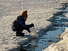 Жители Балашихи бросились в ледяную воду ради спасения чужих детей