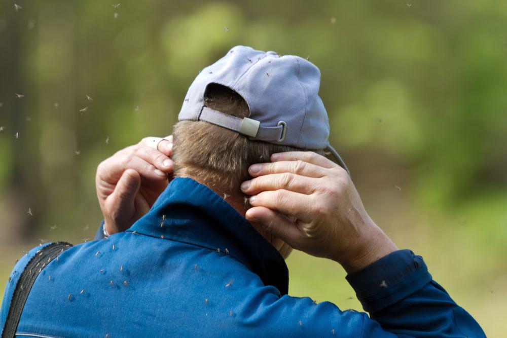 Роспотребнадзор: в России не зарегистрированы случаи лихорадки чикунгунья