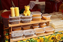В Калуге открылся фестиваль мёда