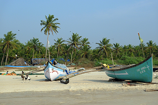 Маньяк-аниматор из России признался в серии жестоких убийств