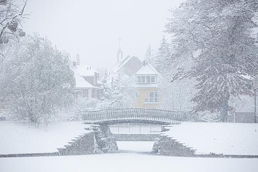 До -9 и метель: калининградцам рассказали о погоде в регионе на четверг