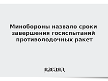 Минобороны назвало сроки завершения госиспытаний противолодочных ракет