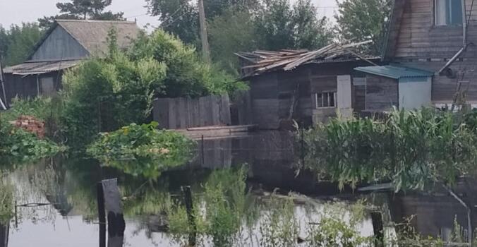 Урожай дачникам в Хабкрае могут вернуть деньгами