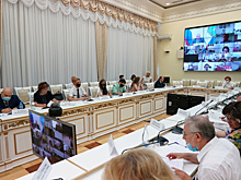 На заседании Общественной палаты Самарской области обсудили подготовку наблюдателей на выборах 2021 года