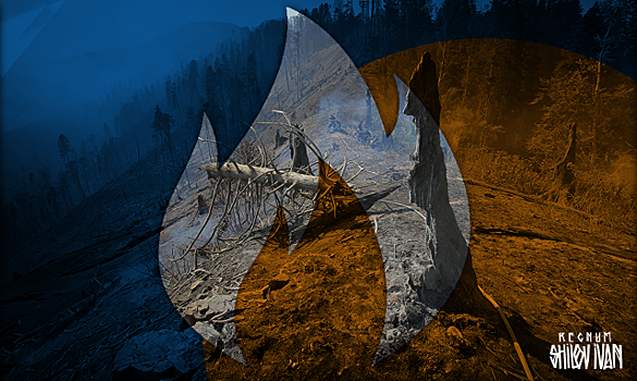 В Тульской области вводят особый противопожарный режим