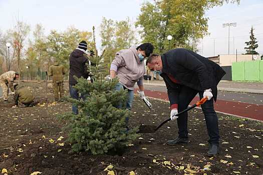 В воронежском парке «Мостозавода» идет озеленение