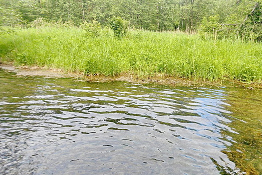 Мужчина запутался в рыболовных сетях и утонул в российском регионе