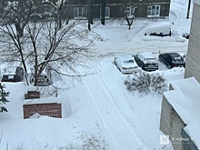 Нижегородец подхватил болезнь Шамберга из-за уборки снега