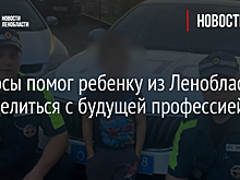 Укус осы помог ребенку из Ленобласти определиться с будущей профессией
