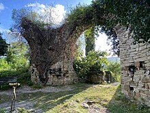 Туристический квест-маршрут появится в Сочи