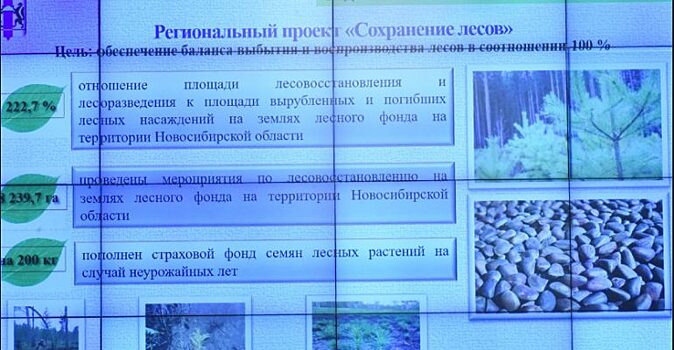 В Новосибирской области расчистят реки и озёра