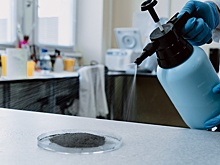 В Новосибирске создали подавитель пыли на основе бактерий