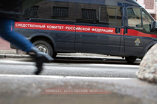 Опекунов из Кемеровской области обвинили в убийстве приемных детей