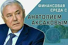 Анатолий Аксаков рассказал, кто сможет оплачивать ЖКХ без комиссии