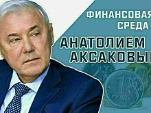 Депутат Госдумы Анатолий Аксаков рассказал, чем опасны дропперы