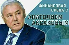 Анатолий Аксаков расскажет, кто сможет оплачивать ЖКХ без комиссии