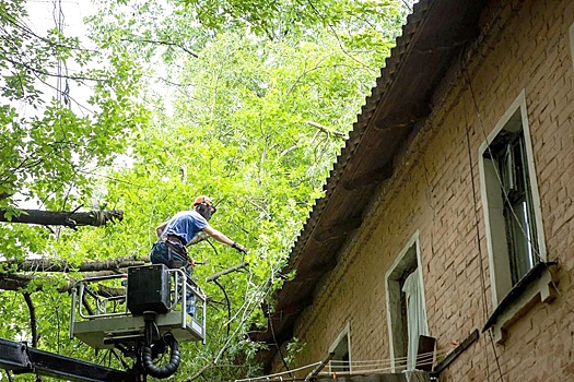 Прокуратура проверит устранение последствий ураганов в Курской области