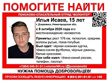 15-летний Илья Исаев пропал в Дзержинске