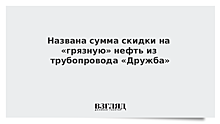 Названа сумма скидки на «грязную» нефть из трубопровода «Дружба»