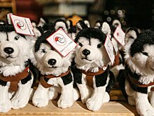 Yle (Финляндия): российские «килобабушки» — настоящий джекпот для восточной границы