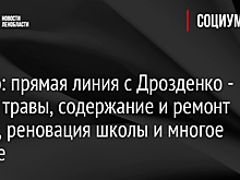 Видео: прямая линия с Дрозденко - покос травы, содержание и ремонт дорог, реновация школы и многое другое