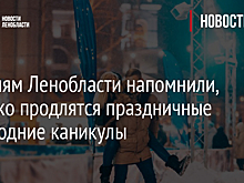 Жителям Ленобласти напомнили, сколько продлятся праздничные новогодние каникулы
