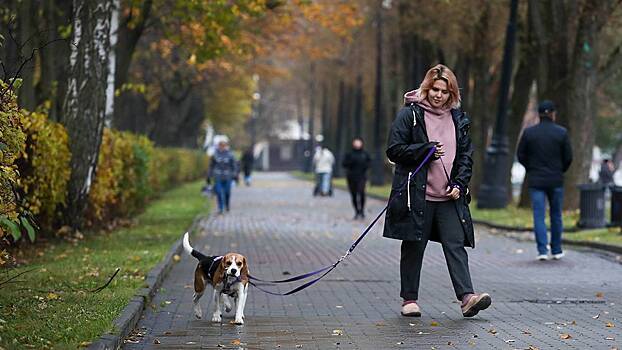 Вторжение холода: какой будет погода в Москве в последние выходные сентября