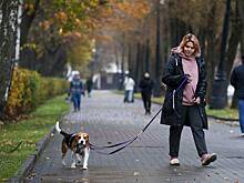 Вторжение холода: какой будет погода в Москве в последние выходные сентября