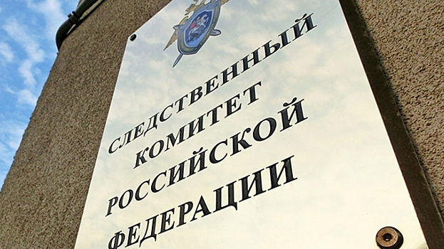 Следователи возбудили дело против сторонника Навального Волкова