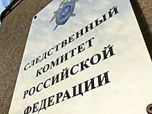 Следователи возбудили дело против сторонника Навального Волкова