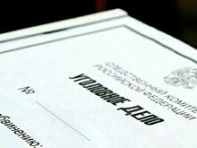 Покупатель БАДов заплатил мошенникам более 1 млн рублей