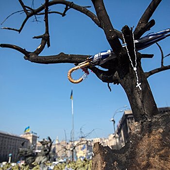 В преддверии пустыни: Киев за 15 лет потерял 1 миллион деревьев