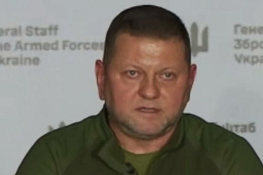 Медиасоветник Залужного неожиданно ответила на сообщения о подготовке генерала к выборам