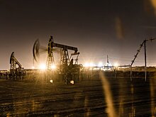 В Словакии заявили, что для отказа от газа и нефти из РФ потребуется время