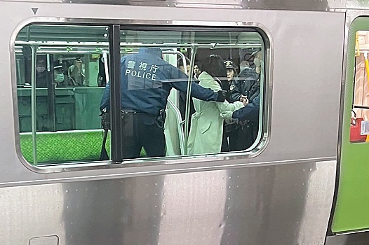 Четыре человека пострадали при нападении женщины с ножом в Токио