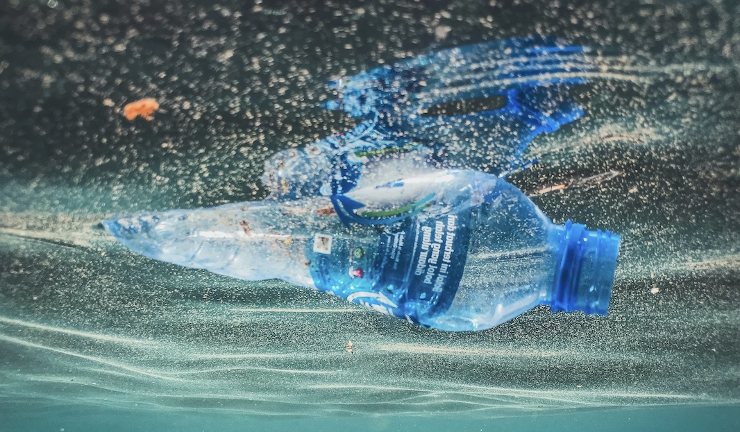 Морской гриб, поедающий пластик, обнаружен на Большом Тихоокеанском мусорном пятне