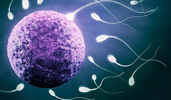 В развитых странах заканчиваются сперматозоиды