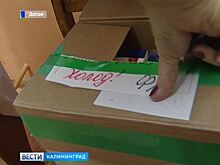 Губернатор Антон Алиханов взял вопрос обеспечения лекарствами под личный контроль