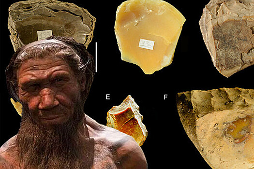 Первые дайверы: неандертальцы ныряли за ракушками