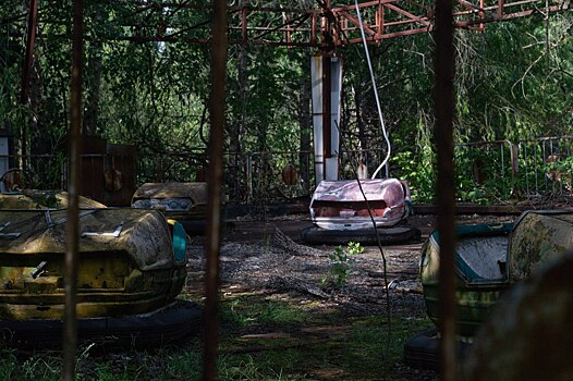 В Чернобыле нашли новую форму жизни. Как это поможет космонавтам