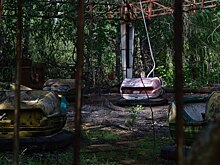 В Чернобыле нашли новую форму жизни. Как это поможет космонавтам