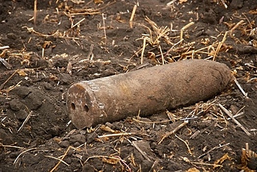 Боеприпас времен ВОВ обнаружили в городском округе Солнечногорск