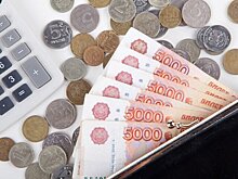 Депутат Федоров оценил налог на бездетность в 20–30 тысяч рублей