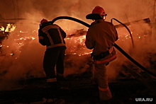Эколог Каюмов предупредила об опасности пожаров на расстоянии 10 километров