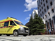 Петербургская маршрутка насмерть сбила французскую туристку